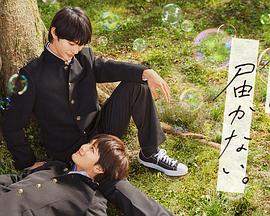 seo职业怎么提升